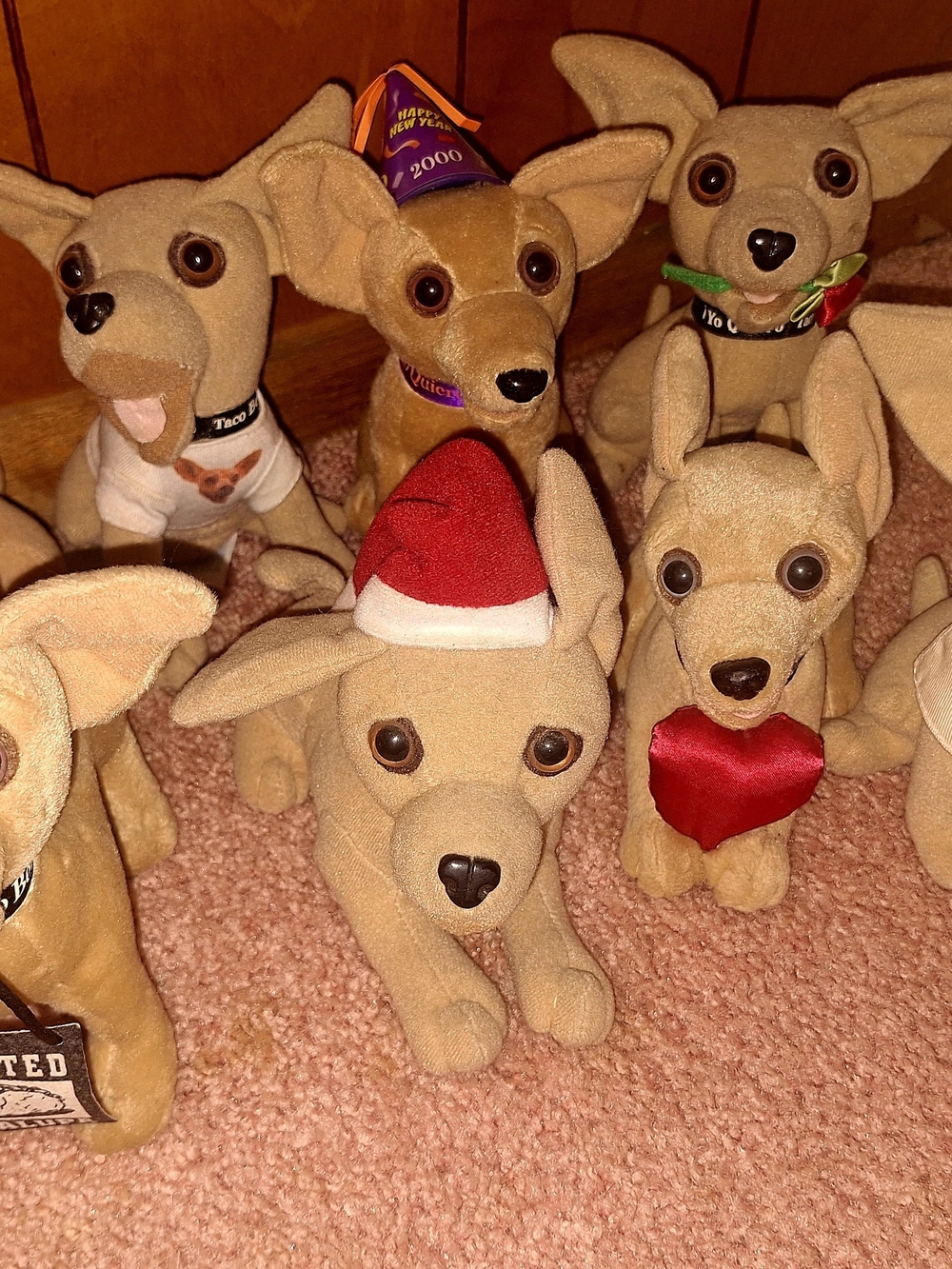 Taco Bell Dogs